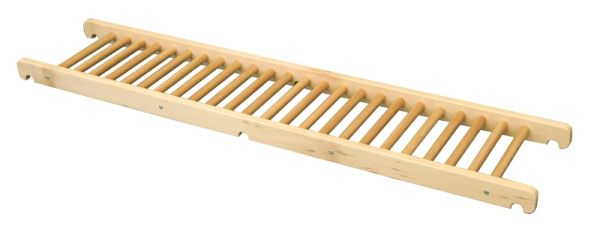 Edugym ladder
