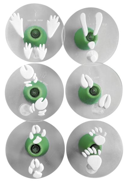 Stamps animal tracks set of 12
