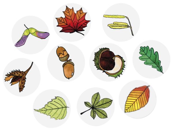 Leaf stamps set of 10