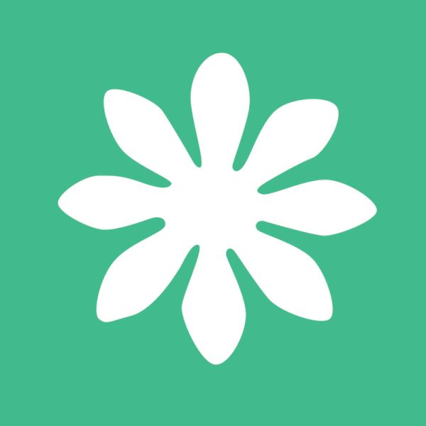 Creative Hole Punch 25mm Flower