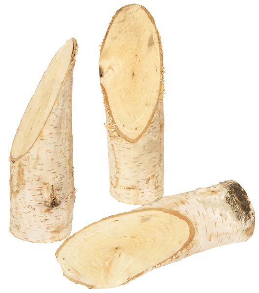 Birch trunk set of 5