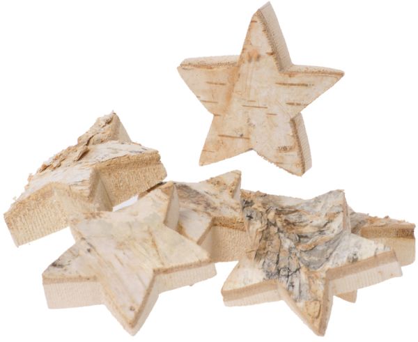 Nature wood slices star set of 6