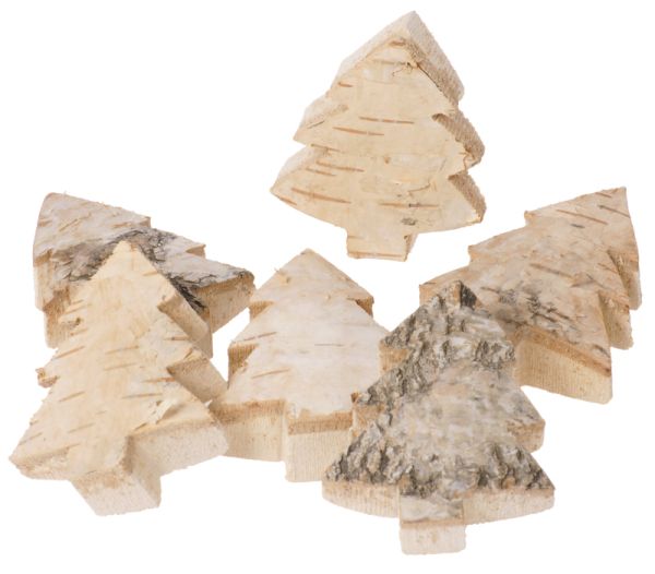 Nature wood slices fir set of 6