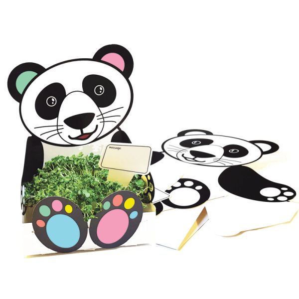Plant & Grow Panda