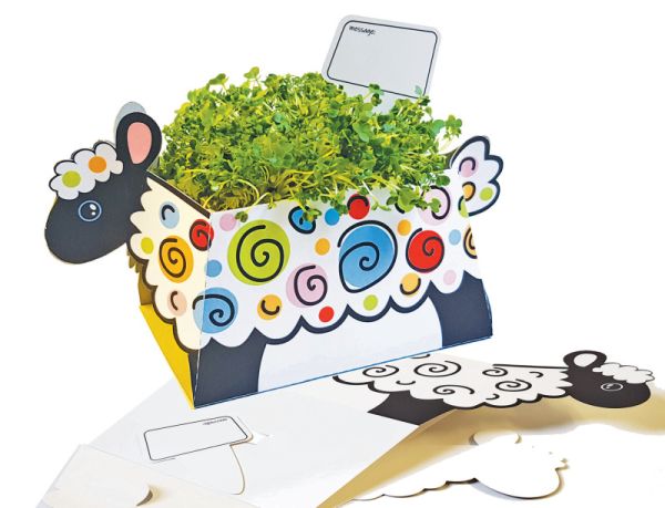 Plant & Grow Sheep